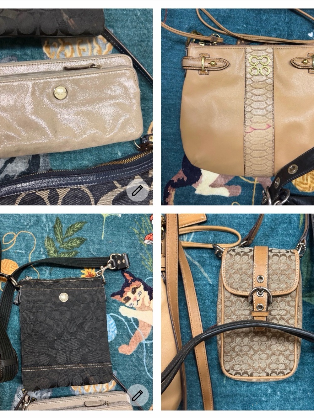 Coach BUNDLE